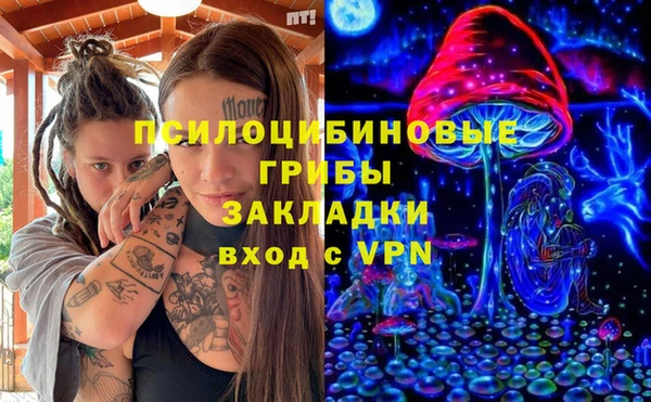 дурь Волоколамск