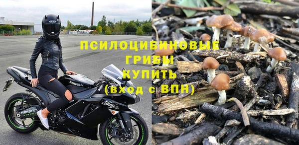 дурь Волоколамск
