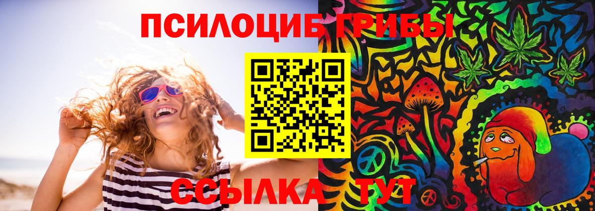 Галлюциногенные грибы Cubensis  Вход с VPN  Всеволожск 
